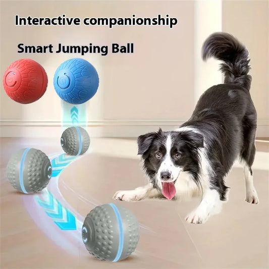 Automatic Interactive Dog Ball Toy